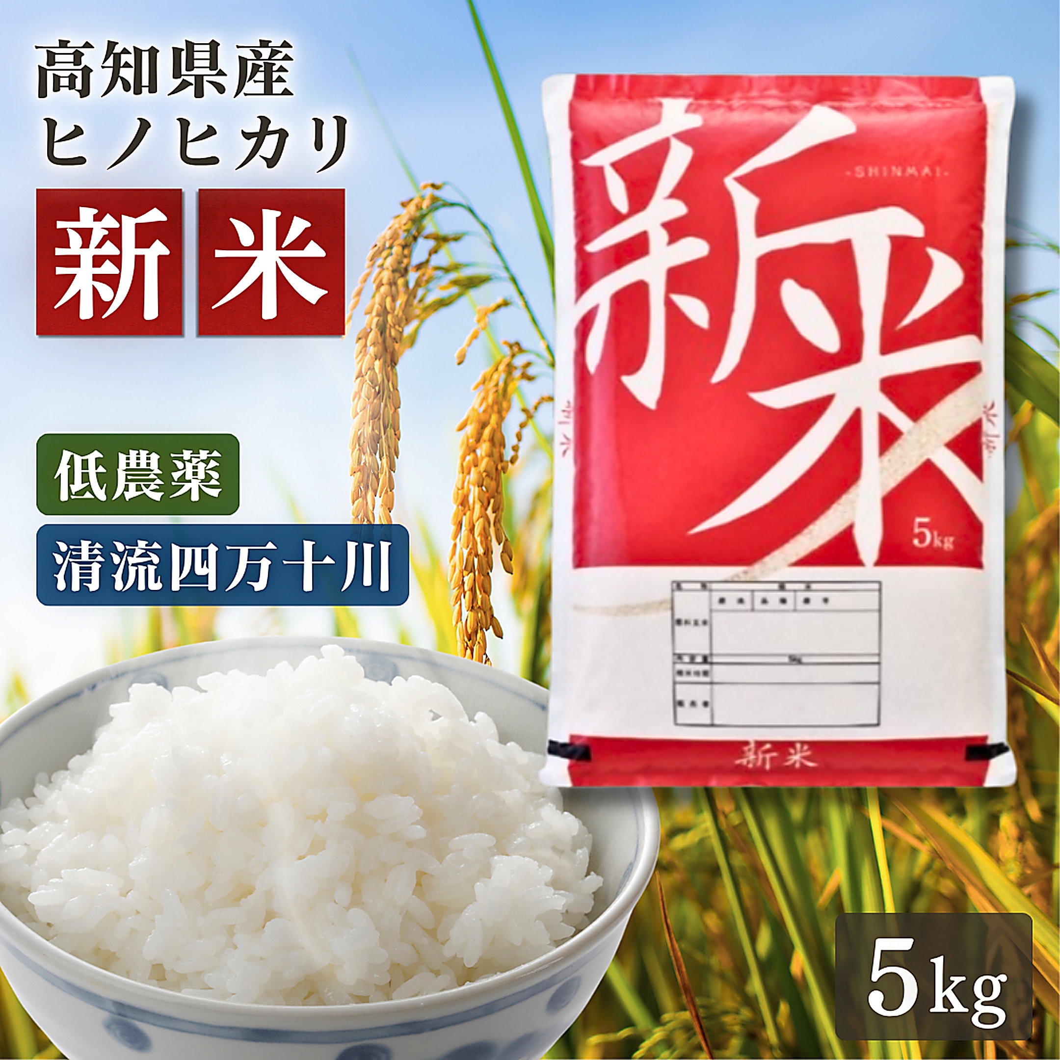 米 令和7年産 新米 お米 5kg 高知県産 【 ヒノヒカリ 5キロ 】令