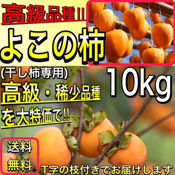 yosakoi-yafuu-store_kaki2.jfif