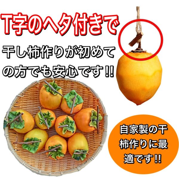 柿 10kg 愛宕柿 徳島・愛媛産 ご家庭用 送料無料 食品