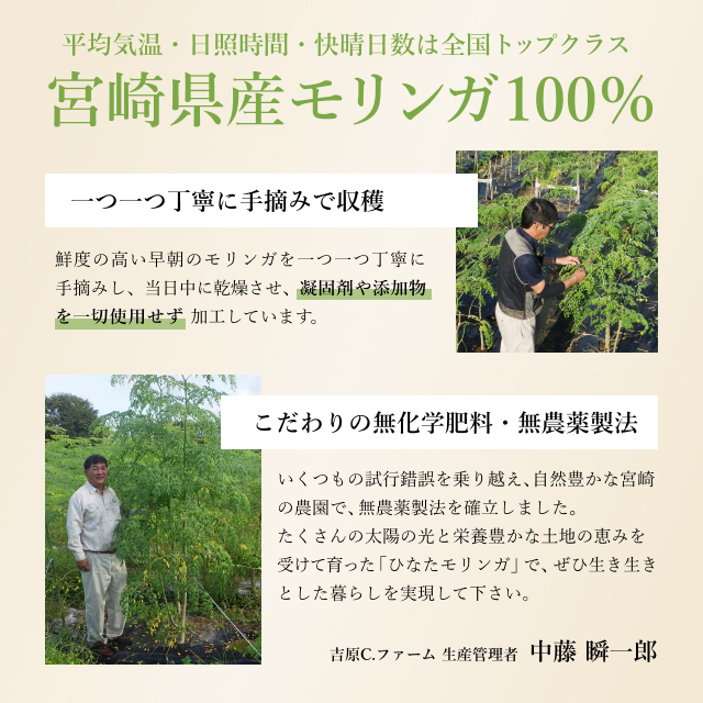 モリンガ パウダー 50g 国産 100％ モリンガ茶 ひなたモリンガ  粉末 青汁 無農薬 無添加 スーパーフード moringa 宮崎県産 |  | 02