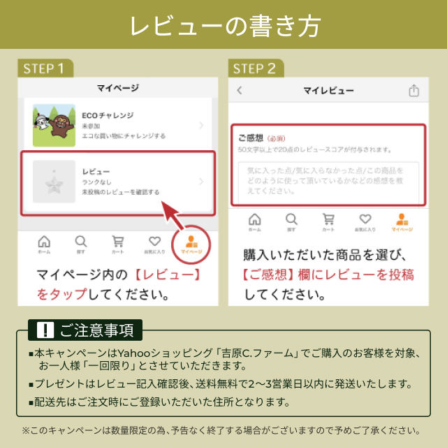 20%OFF! 国産 無農薬 無化学肥料 無添加 滅菌済 モリンガ 100％ タブレット サプリメント スーパーフード moringa 宮崎県産 250mg×150粒 ひなたモリンガ |  | 14