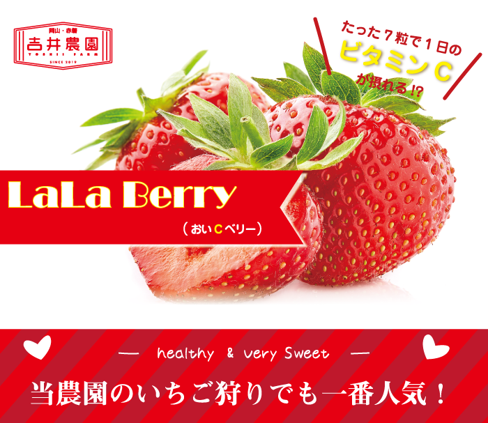 吉井農園 - LaLa Berry(おいCベリー)|Yahoo!ショッピング 吉井農園 - LaLa Berry(おいCベリー)|Yahoo!ショッピング