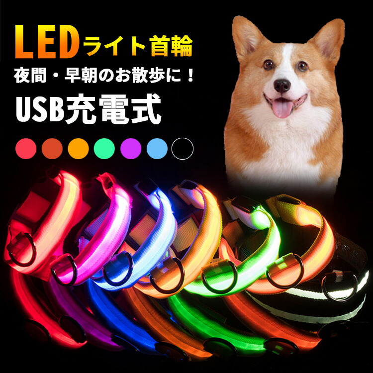 人気の 82%OFF 首輪 犬 猫 光る led 光る首輪 おしゃれ 痛くない かわいい 可愛い 柔らかい キラキラ ライト 夜間 散歩 安全 苦しくない ledライト USB充電式 軽量 頑丈 rainbow-flower.sakura.ne.jp rainbow-flower.sakura.ne.jp