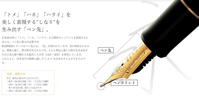 PILOT（パイロット） 万年筆 カスタム743 ブラック FKK-3000R-B ペン種