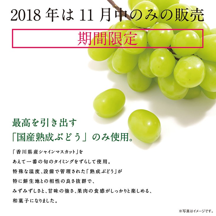 シャインマスカット6個　出雲よしおかジュエリーボックスSPオパールのぶどう DAIFUKU