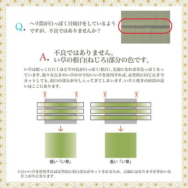 上敷き ゴザ 敷詰 カーペット い草 自然素材 日本製 国産 消臭 抗菌