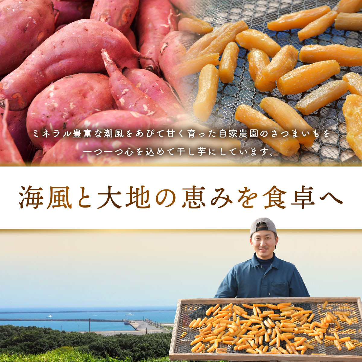ギフトに最適 茨城県ひたちなか市産 干しいも 紅はるか 平干し1kg