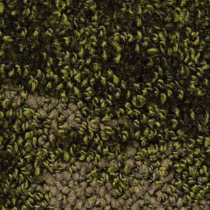 サンゲツタイルカーペット 床材 カーペット パネルカーペット マット ラグ 約50×50cm 1枚 DT-4250 ボイスオブツリー (R) 半額以下｜youai｜05