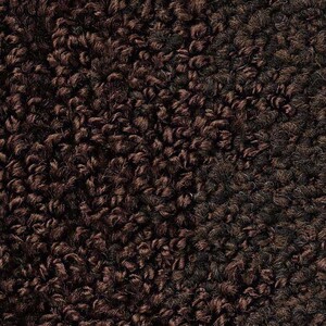 サンゲツタイルカーペット 床材 カーペット パネルカーペット マット ラグ 約50×50cm 1枚 DT-4250 ボイスオブツリー (R) 半額以下｜youai｜07