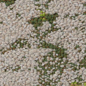 サンゲツ（SANGETSU） サンゲツタイルカーペット 床材 カーペット