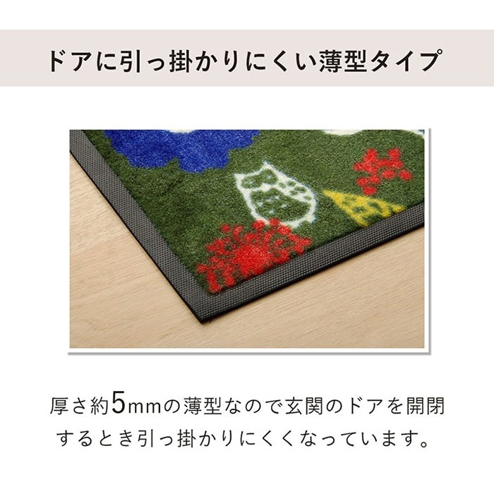 イケヒコ 玄関マット 屋外用 デザイン 花柄 草花 フラワー 薄型 洗える