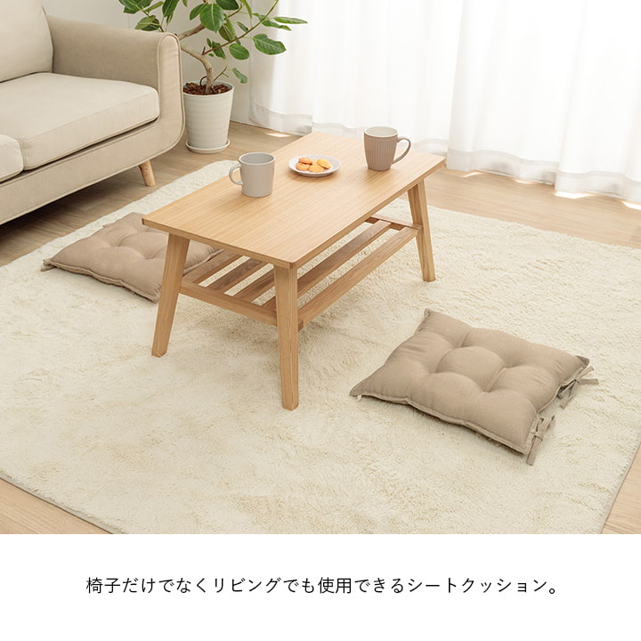 ループ シート (I) クッション シート 無地 国産 約43×43cm 同色2枚組 | イケヒコ | 02