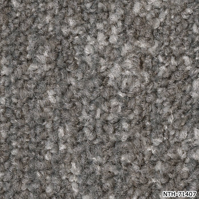 ふ サンゲツ（SANGETSU） タイルカーペット 日本製 防炎 防汚 制電 パネル