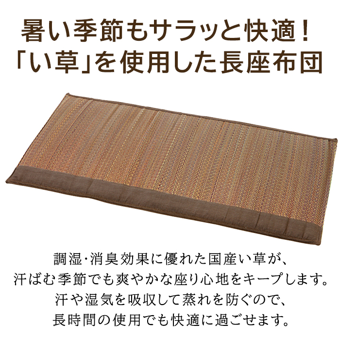 大島屋 い草座布団 おしゃれ イグサ座布団 クッション 約55×110cm