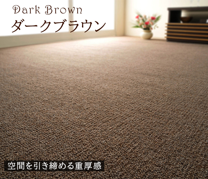 素材 ウール エコ防ダニカーペット ラグ ウール100% 抗菌 約261×352 江戸間6帖絨毯 大判長方形 床暖対応 日本製 防炎 オシャレ 北欧 秋冬春夏用 オペラ (H) | 日本ベターリビング | 17