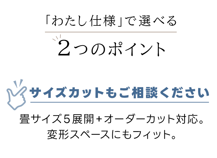 素材 ウール エコ防ダニカーペット ラグ ウール100% 抗菌 約261×352 江戸間6帖絨毯 大判長方形 床暖対応 日本製 防炎 オシャレ 北欧 秋冬春夏用 オペラ (H) | 日本ベターリビング | 13