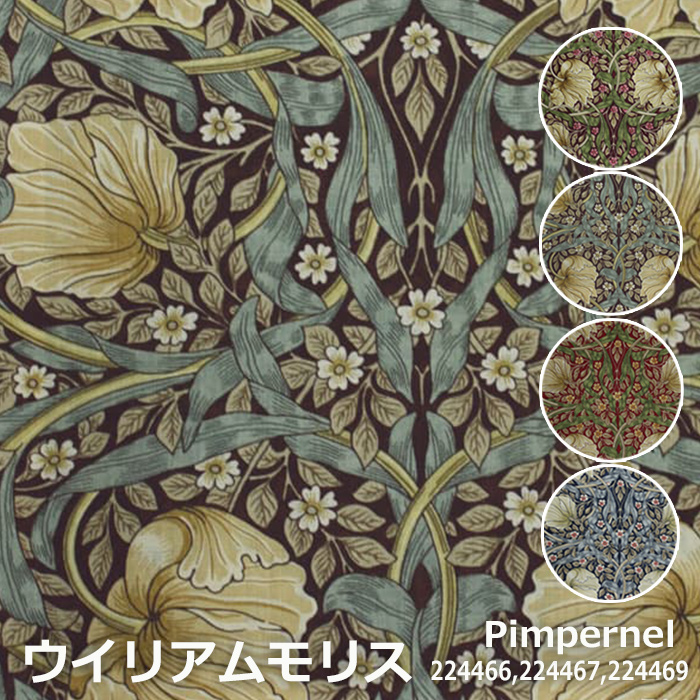 pimpernel1-ind.jpg