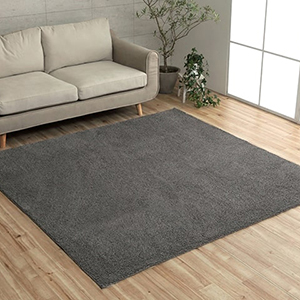 イケヒコ ラグ カーペット ミックスパイル 洗える マット 滑り止め 床