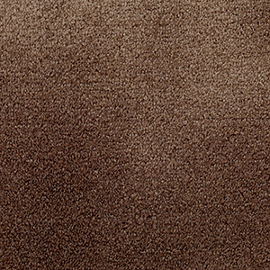 耐久性に優れたカーペット ナイロン100% ベルギー製 本間三畳 3畳 3帖