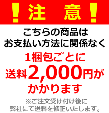 カーテンレール 2.73m 9尺 工事用セット シングル 正面付け スチール