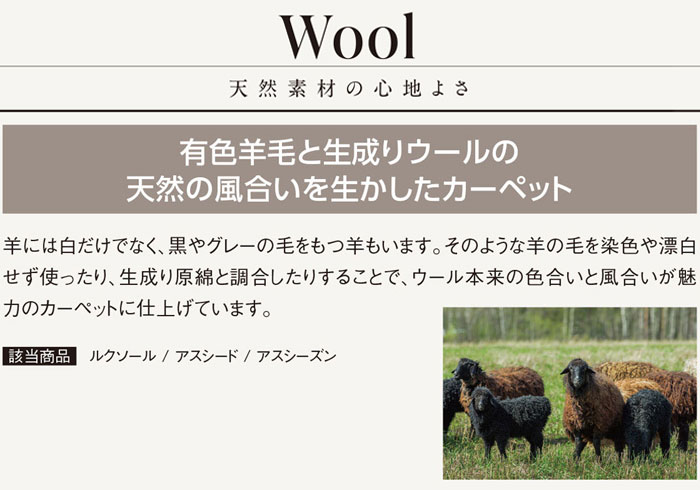 ウールカーペット 新毛100% 日本製 江戸間六畳 6畳 6帖 約261×352cm 
