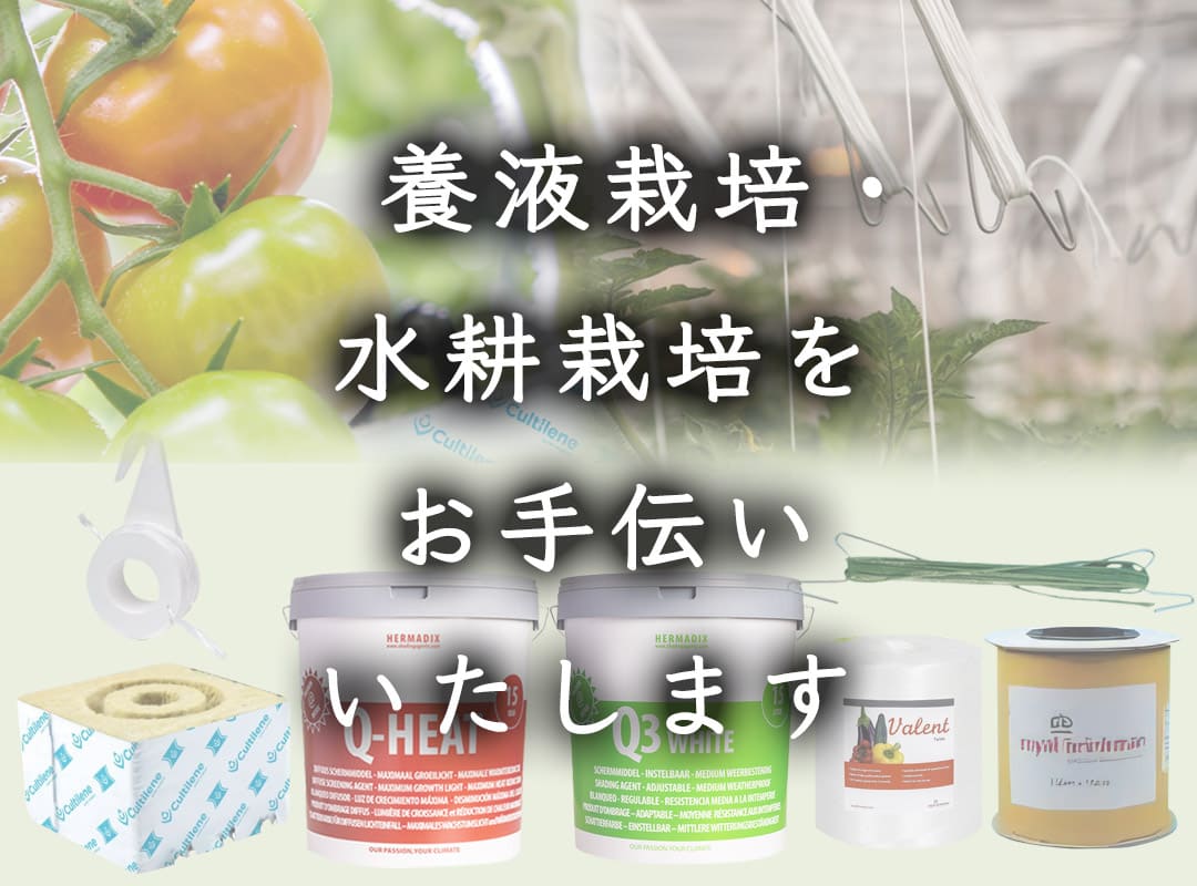 高機能性遮熱剤 Q-Heat 熱線カット Amazon.co.jp: HERMADIX 遮光剤