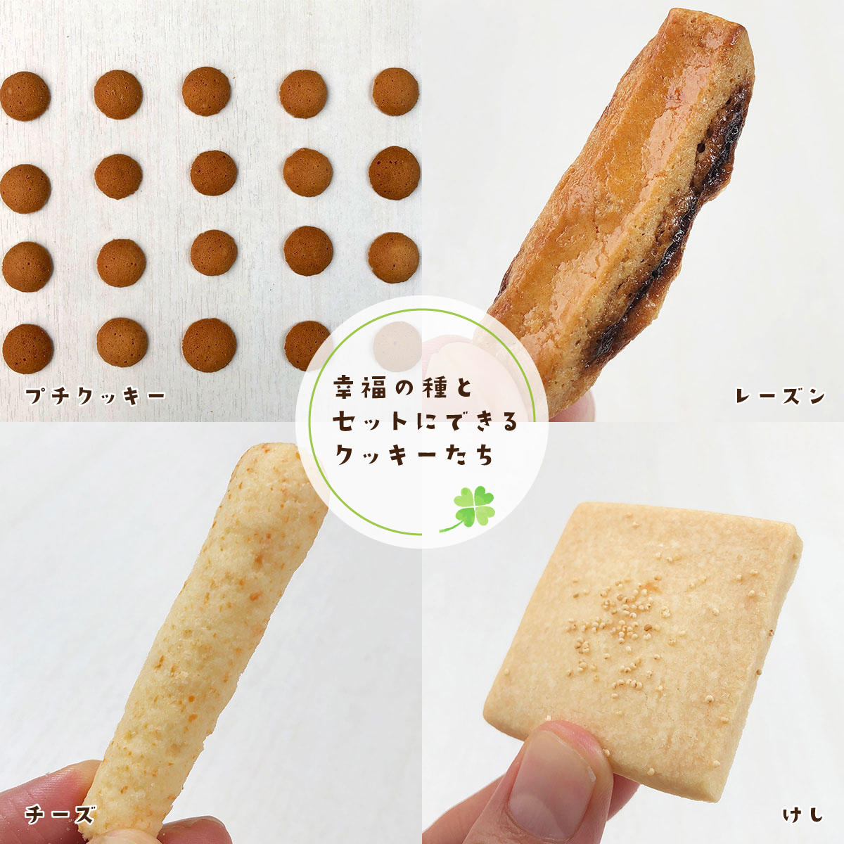 幸福の種＆クッキーセット 選べるクッキー2BOXセット バレンタイン