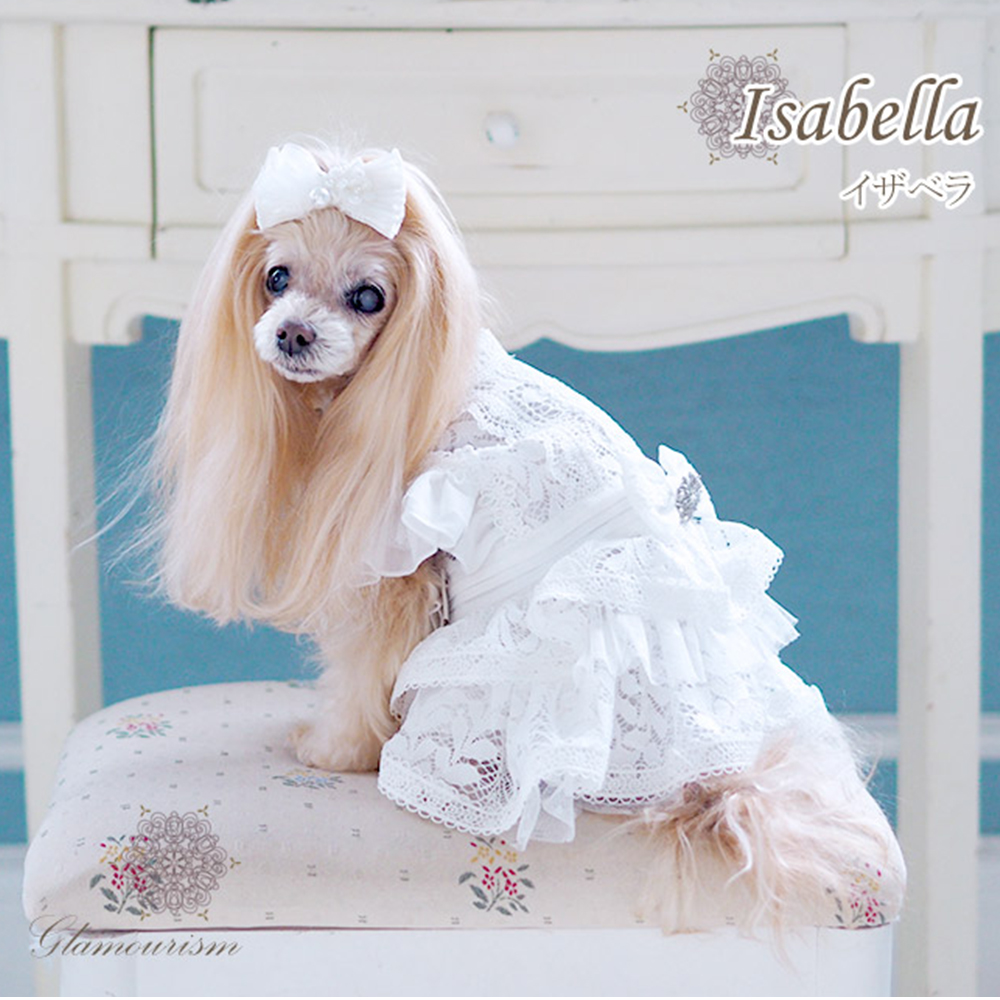 グラマーイズム リナ Lina 【 Glamourisum 犬服 犬グッズ セレブ