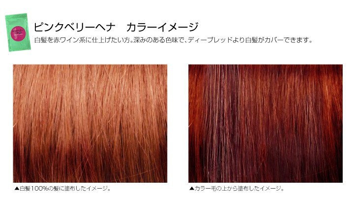 ジャパンヘナ ピンクベリー HC染料入り 【100g】japan henna(ヘア