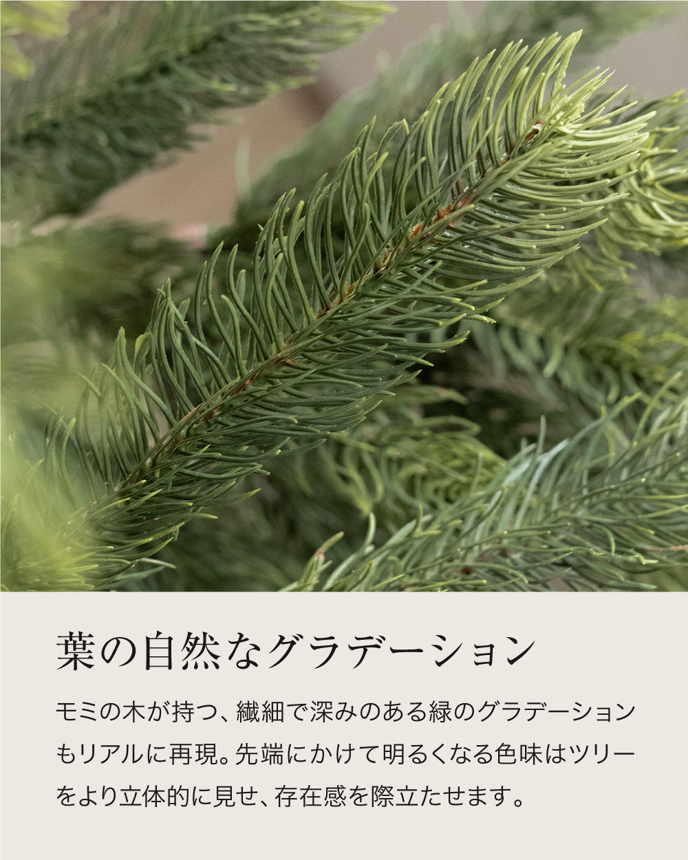正規品　16800円 Le Sapin ルサパン クリスマスツリー 150cm クリスマスツリー 150cm モミの木 ヌードツリー おしゃれ リアル