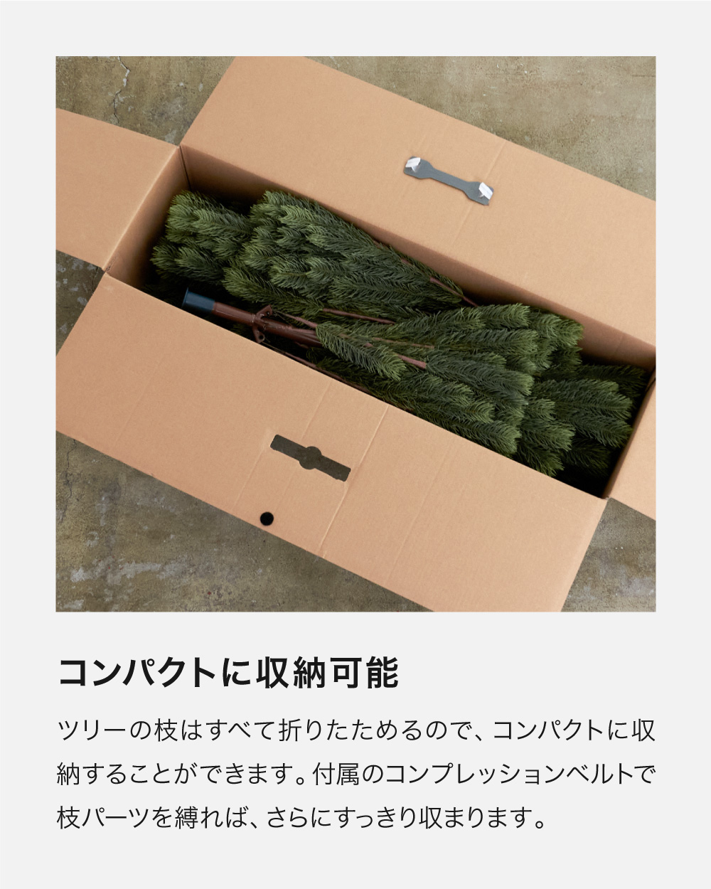 クリスマスツリー 150cm モミの木 ヌードツリー おしゃれ リアル