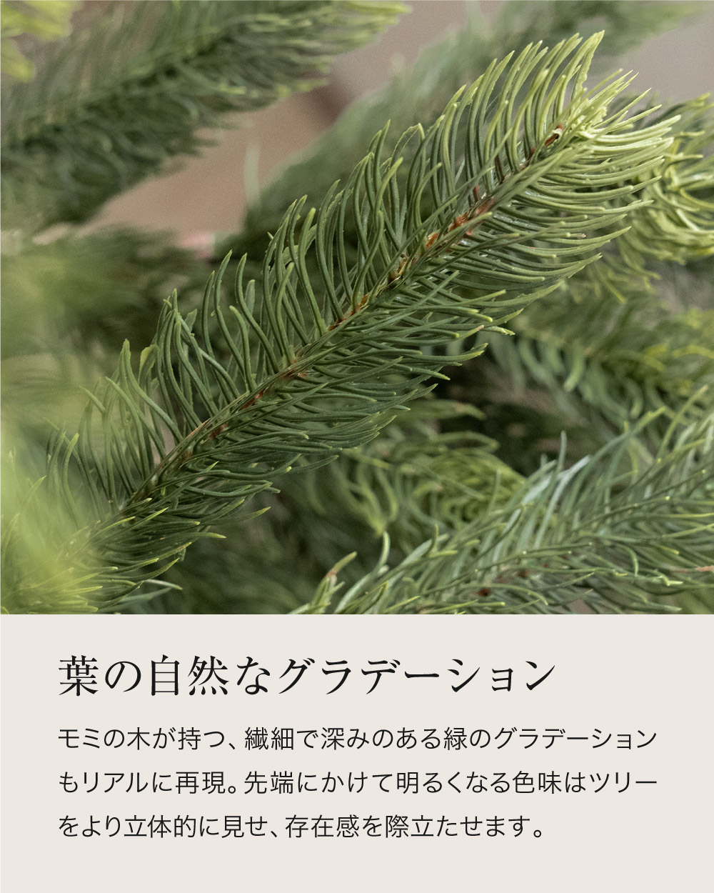 クリスマスツリー 180cm モミの木 ヌードツリー おしゃれ リアル