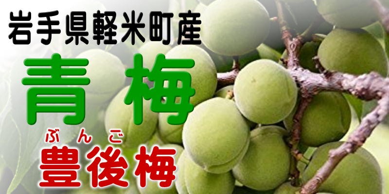 2024年不作の為販売中止 梅 生梅 生 青梅 3kg 産地直送 送料無料 岩手