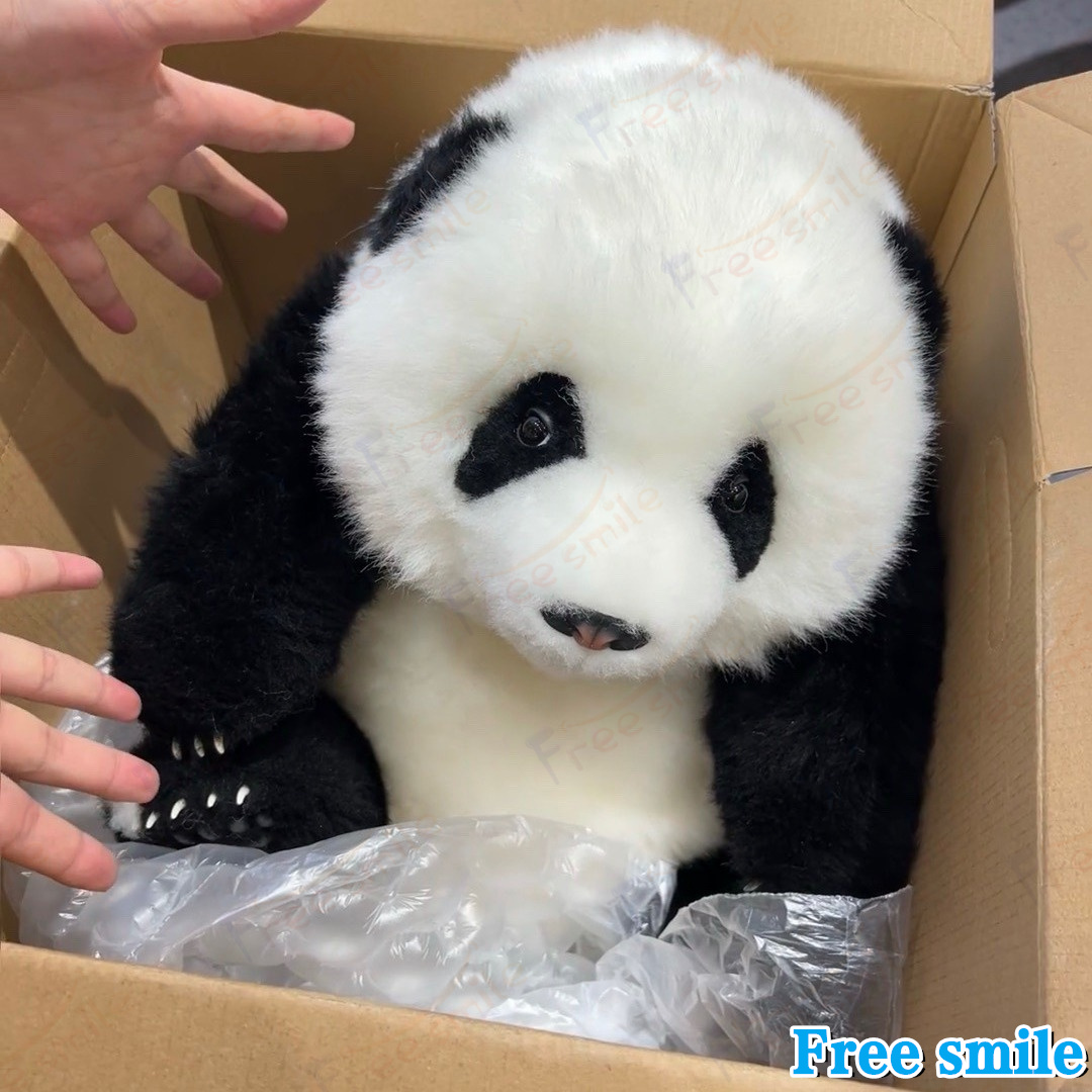 パンダぬいぐるみ 花花 萌蘭 年齢5か月 可愛いパンダ パンダ工場 PANDA