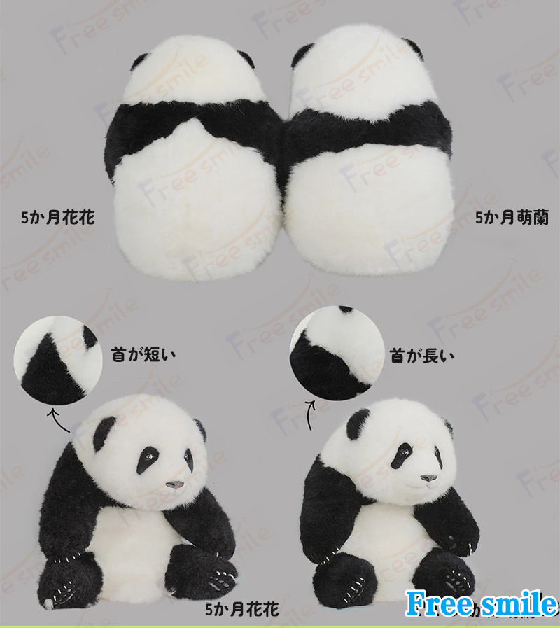 パンダぬいぐるみ 花花 萌蘭 年齢5か月 可愛いパンダ パンダ工場 PANDA