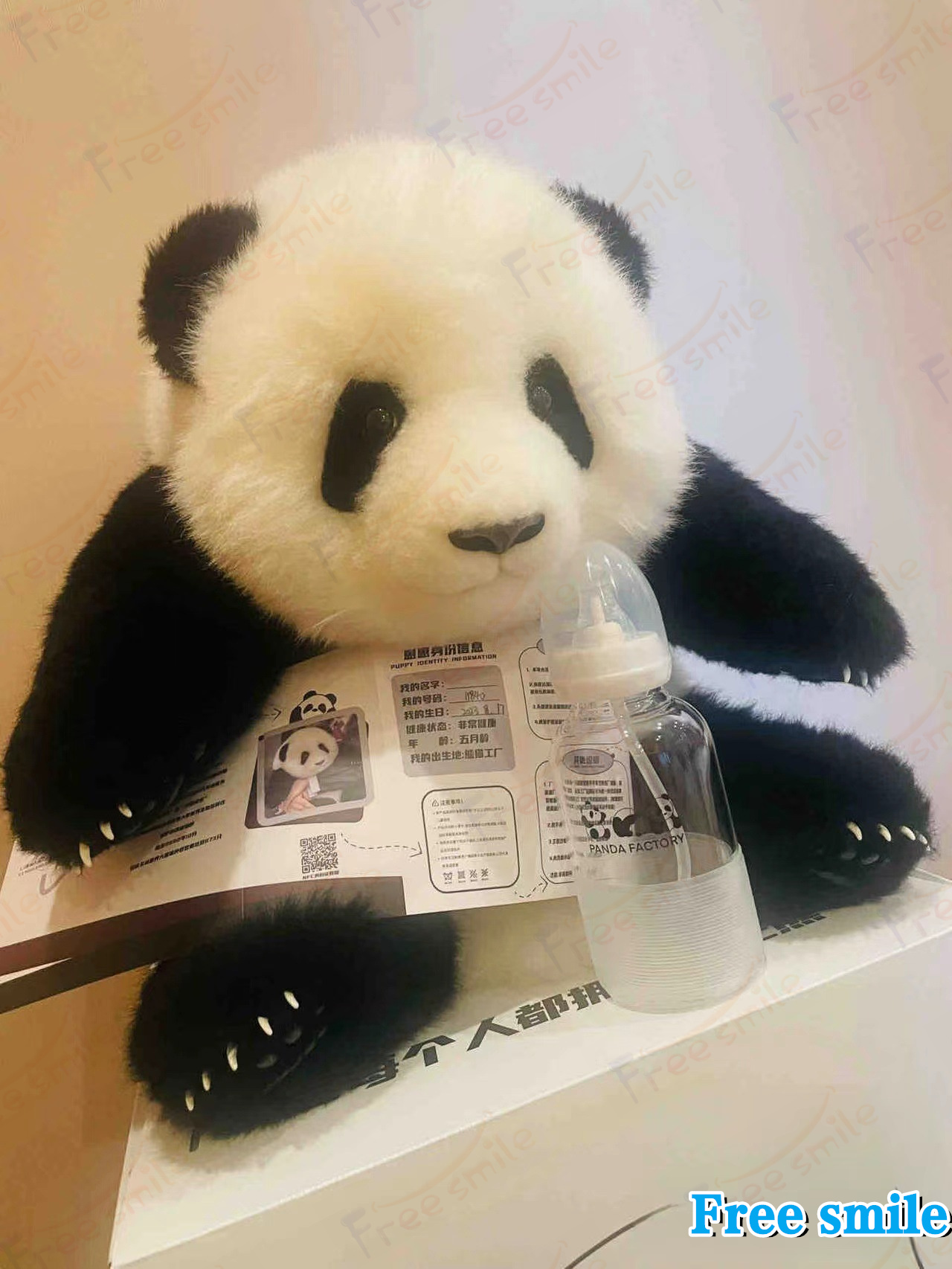 パンダぬいぐるみ 花花 萌蘭 年齢5か月 可愛いパンダ パンダ工場 PANDA