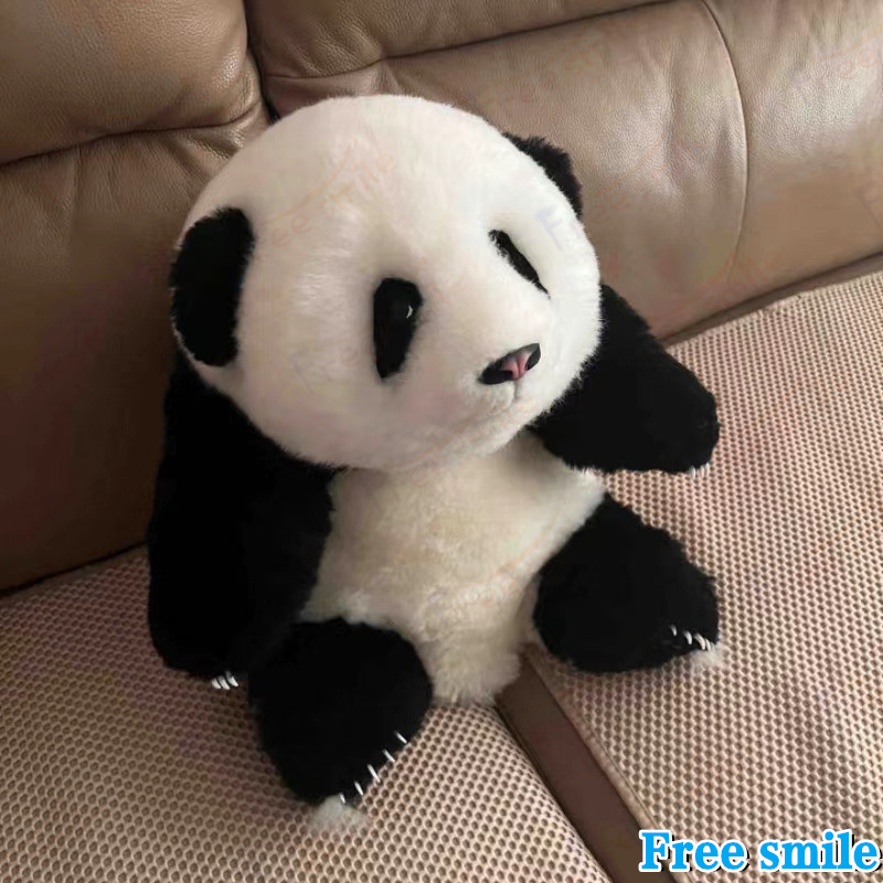 パンダぬいぐるみ 花花 萌蘭 年齢5か月 可愛いパンダ パンダ工場 PANDA