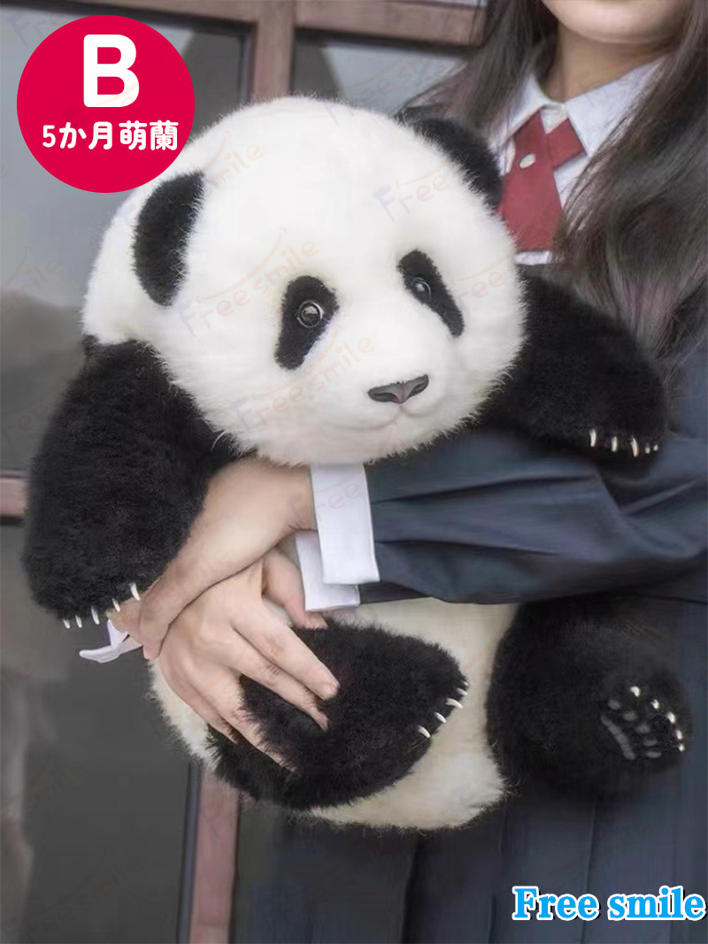 パンダぬいぐるみ 花花 萌蘭 年齢5か月 可愛いパンダ パンダ工場 PANDA
