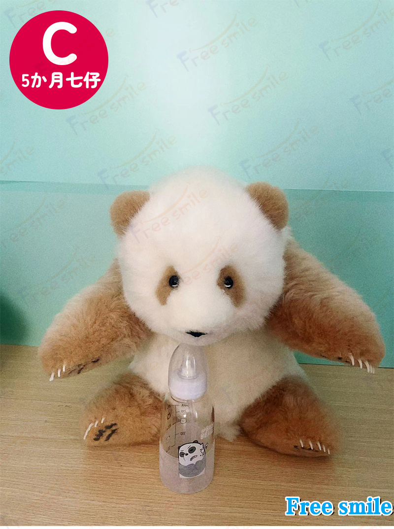 パンダぬいぐるみ 花花 萌蘭 年齢5か月 可愛いパンダ パンダ工場 PANDA