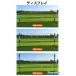 バドミントンネット 簡易ネット 三段階調整可 持ち運び 収納袋付 折り畳み式 簡単設置 室内 室外 ジュニア アウトドア 収納袋 フィットネス ダイエット 関連画像5