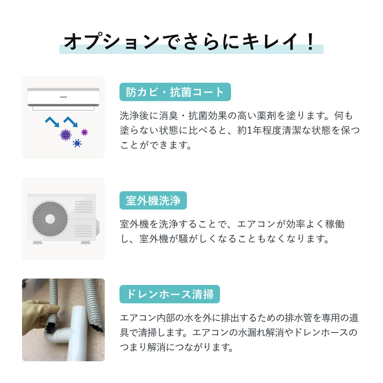 オプションでさらにキレイ！