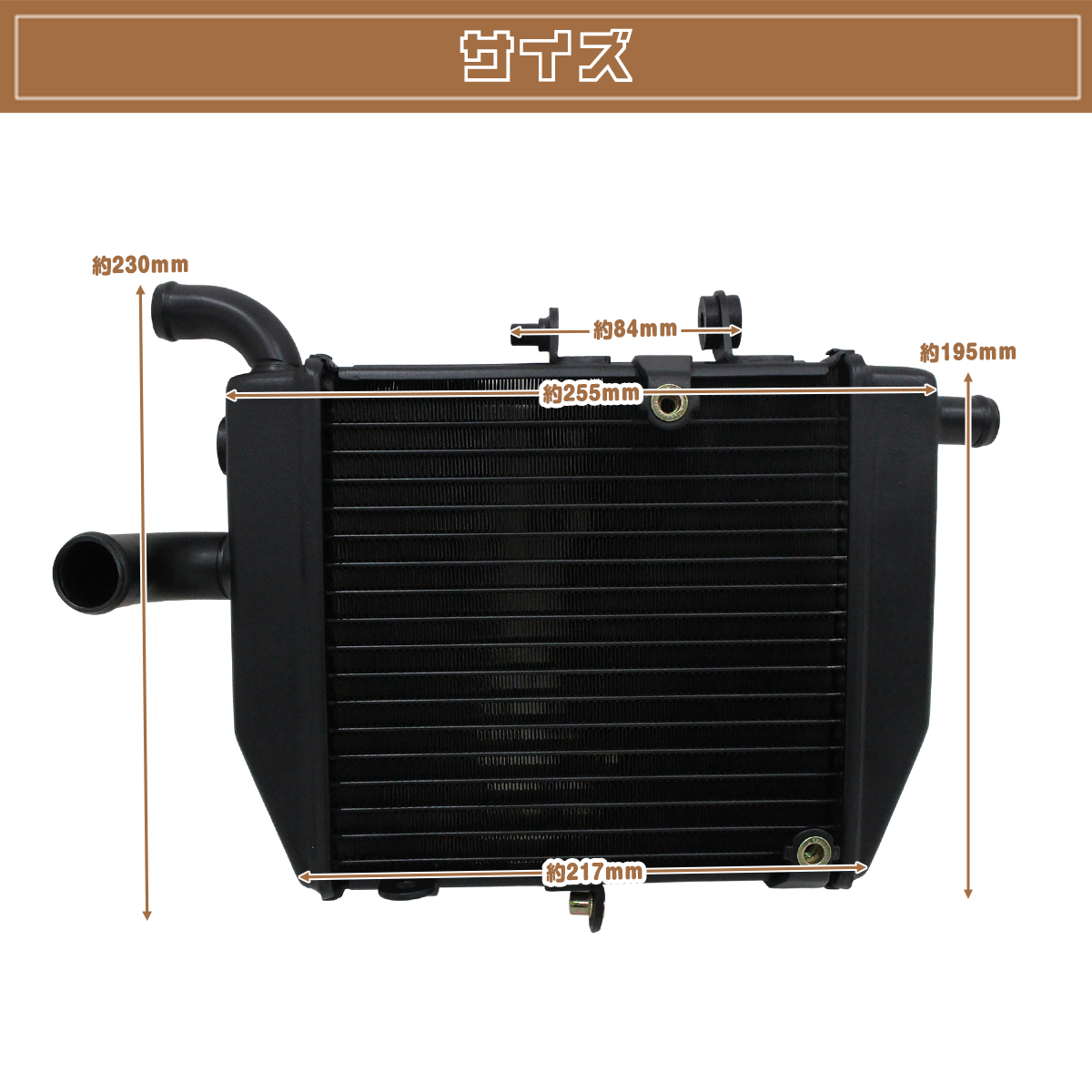 bmc-377-g_1.jpg