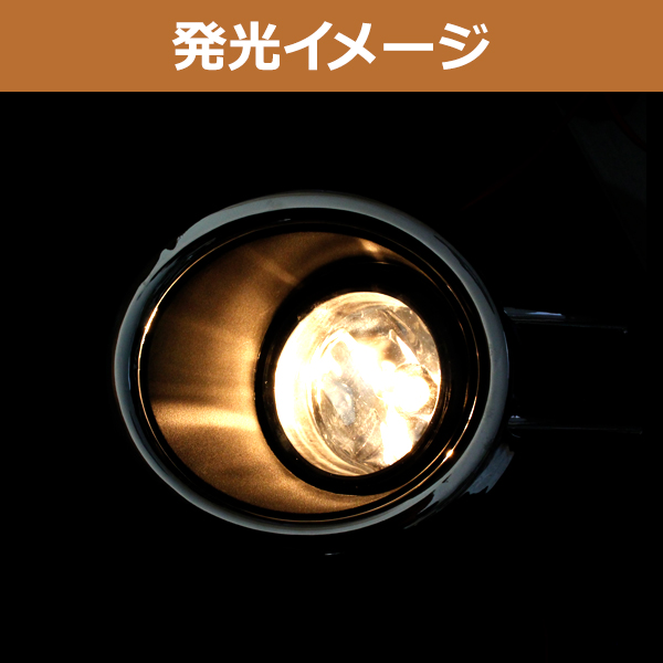 スズキ イグニス FF21S 後付け フォグランプ カバー 付き フォグカバー