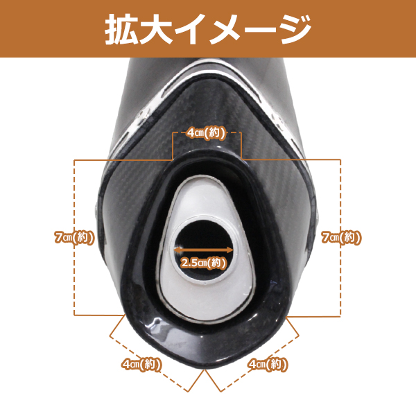 アクラポビッチ 風 サイレンサー ショート φ60.5 ドライカーボン