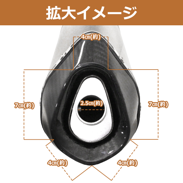 専用商品 アクラポビッチ 風 60.5 サイレンサー マフラー カーボンタイプ