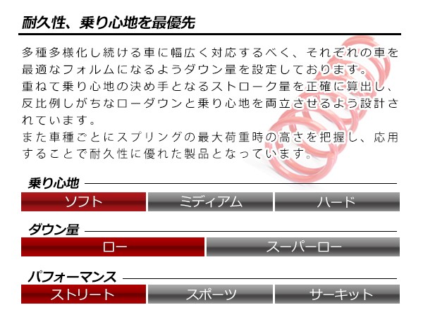 ヴォクシー　ノア　80 ダウンスプリング ノア ヴォクシー G's ZRR80W ダウンサス 1台分 タナベ GTファン