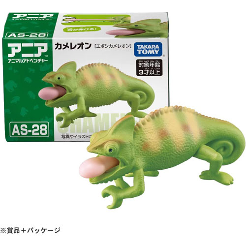 カメレオン アニア AS-28 カメレオン エボシカメレオン 4904810210597の説明