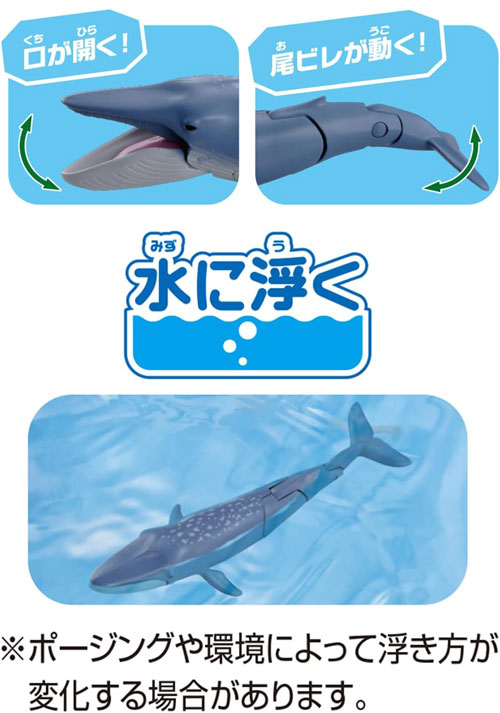 アニア AL-23 シロナガスクジラ 水に浮くVer. : ユウセイ堂2号店
