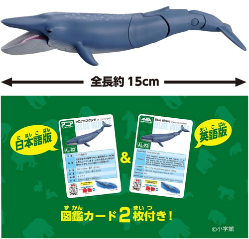 アニア AL-23 シロナガスクジラ 水に浮くVer. : ユウセイ堂2号店
