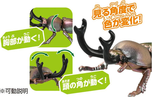 アニア AS-42 ニジイロクワガタ : ユウセイ堂2号店 ヤフーショッピング